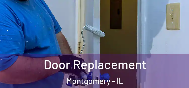  Door Replacement Montgomery - IL
