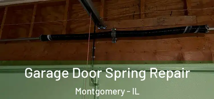  Garage Door Spring Repair Montgomery - IL