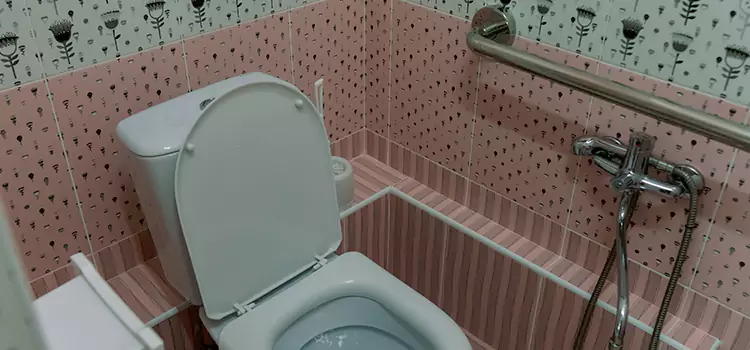 Meeting Diverse Needs With Accessible Restroom Solutions in Montgomery, IL