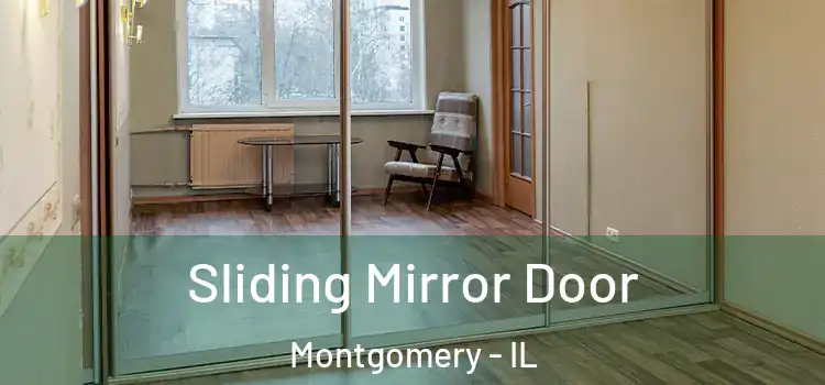  Sliding Mirror Door Montgomery - IL